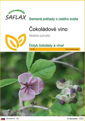 Obrázok produktu pre SAFLAX - čokoládové víno - Akebia quinata - 10 Semená