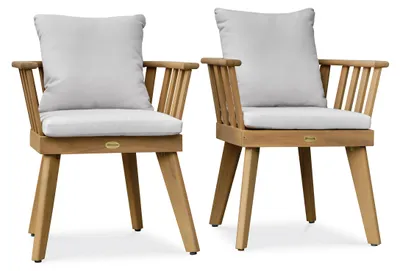 Image de Lot de 2 fauteuils de jardin avec coussins
