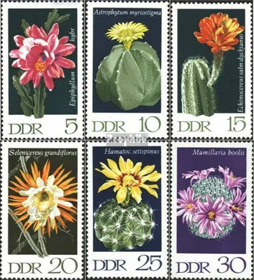 Produktbild von Briefmarken DDR 1970 Mi 1625-1630 (kompl.Ausg.) postfrisch Kakteen (I)