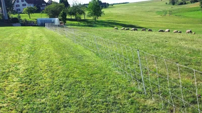 Produktbild von horizont Schafnetz - turbomax high Energy - Weidenetz Schaf weiß, Höhe 90cm, Länge 50m, Doppelspitze 14 Pfähle, Wolfsabwehr, Elektronetz Weidezaun - perfekt für den Schutz Ihrer Schafe