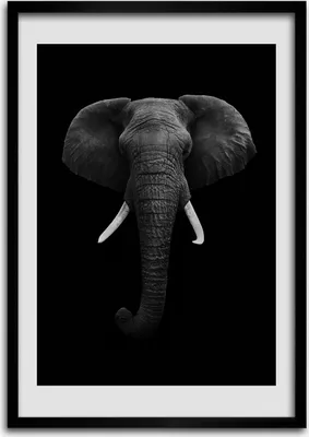 Produktbild von Bild - Bilderrahmen - 50 cm x 70 cm - MDF - Rahmen - Wandkunst Afrikanischer Elefant