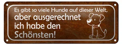 Produktbild von Blechschild Spruch 27x10cm es gibt so viele Hunde auf Welt Dekoration