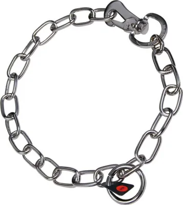 Image de Sprenger Collier avec maillons mi-longs pour chiens argent 45 cm argent 45 cm