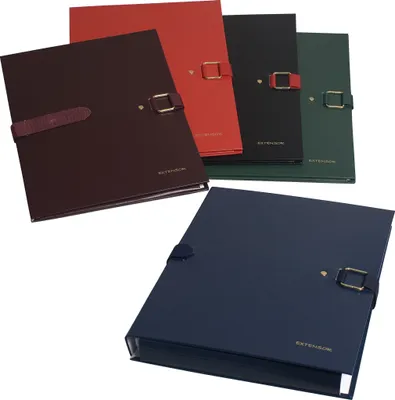 Produktbild von Exacompta 10x Präsentationsmappe Dehnbar Rücken EXTENSOR® - sortiert - 22090E