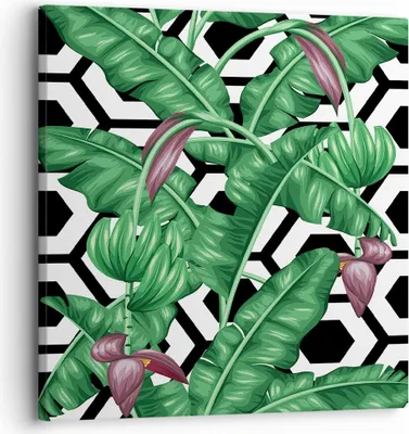 Produktbild von Bild auf Leinwand - Leinwandbild - Blatt Pflanze Blume - 30x30cm - Wand Bild - Wanddeko - Wandbilder - Leinwanddruck - Bilder - Kunstdruck - Wanddekoration - Leinwand bilder - Wandkunst - AC30x30-3798