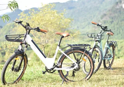 Two electric bicycles are parked on a grassy hill with trees and mountains in the background.