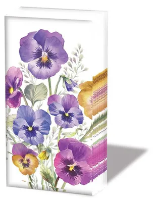 Produktbild von Taschentücher  21,5 x 22 cm – 4-lagig – á 10 Stück pro Packung