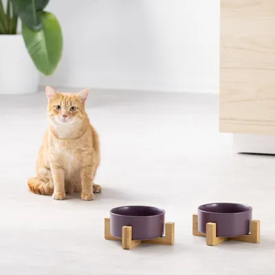 Produktbild von Navaris 2x Futternapf Katze mit Bambus Halter - Futterstation 2x Keramiknapf für Katzen Hunde - Keramik Fressnapf Set Futterbar - Katzen- & Hundenapf