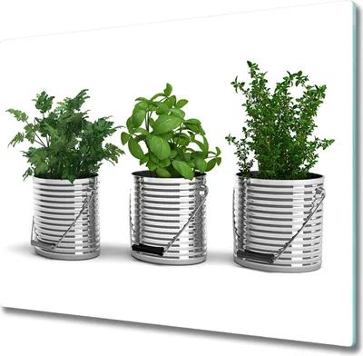 Produktbild von Glas Herdabdeckplatte 60x52 cm Spritzschutz Glasabdeckplatte Schneidebrett Aromatische Pflanzen