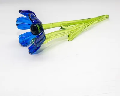 Produktbild von Anemone ''Blumen'' (15-18cm)