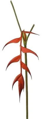 Produktbild von artplants.de Künstliche Helikonie MENJU, orange, 55cm - Kunstblume