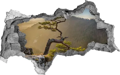 Produktbild von Selbstklebender Loch-3D-Aufkleber 95x73 cm Pieniny Sokolica