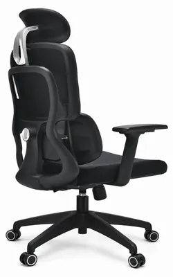 Obrázek produktu pro Ergonomická kancelářská židle s nastavitelnou opěrkou hlavy a područkami