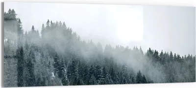Produktbild von DEQORI Glasbild Echtglas 125x50 cm 'Nebel über Baumwipfeln' Wandbild Bild modern Deko