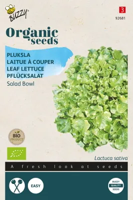 Produktbild von Buzzy Organic Pflücksalat Salad Bowl grün -  Samen - Ca. 1 gr | Buzzy_92681