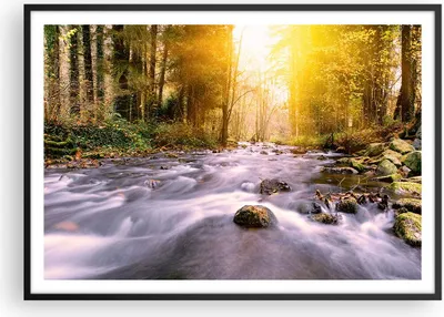 Produktbild von Gerahmtes Poster - Schwarzer Rahmen - Herbst Wald Berg Fluss - 100x70 cm - Wand Bild - Wanddeko - Wandbilder - Wandposter - Bilderrahmen - Bilder - Kunstdruck - Wandbild - P2BAA100x70-0504