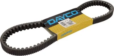 Imagen del producto de Correa de transmisión DAYCO Power CVT™