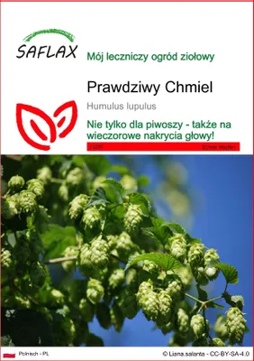 Zdjęcie produktu dla SAFLAX - Prawdziwy Chmiel - 50 Nasiona - Humulus lupulus