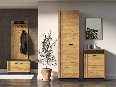 A hallway furniture set with a tall cabinet, a shoe cabinet with drawers, and a wall-mounted coat rack with a bench. A potted plant and a mirror are also visible.