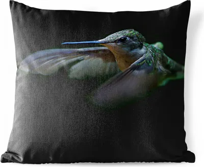 Produktbild von MuchoWow® Outdoor Kissen - Kolibri - Vogel - Grün - 40x40 cm - Wetterfest - Lounge Kissen - Kopfkissen - Interieur - Polster mit Bild