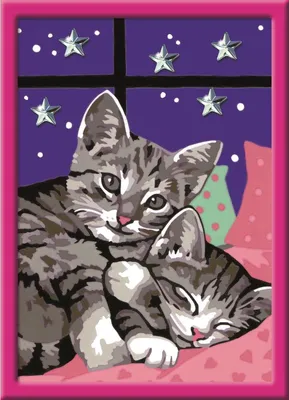 Produktbild von Schlafende Katzen Ravensburger 27995