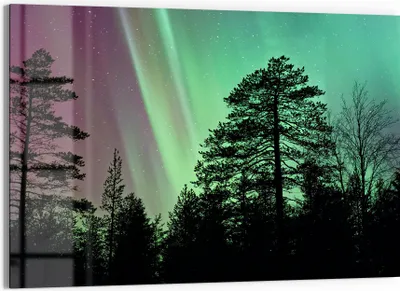 Produktbild von DEQORI Glasbild Echtglas 90x60 cm 'Polarlichter im Wald' Wandbild Bild modern Deko