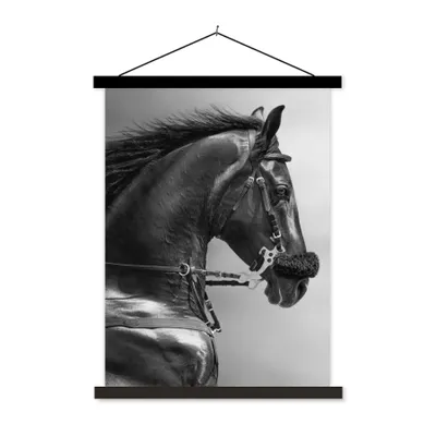 Produktbild von MuchoWow® Textilposter Pferde - Schwarz - Porträt - Tiere 90x120 cm mit schwarzem Rahmen - Dekoration