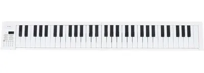 Productafbeelding van Draagbaar elektronisch piano - 61 toetsen - Opvouwbaar - Geschikt voor beginners - Met 100 melodieën/25 demo-stukken - Toetseninstrument