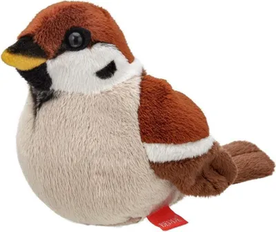 Image de Moineau friquet 13cm