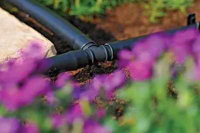 Image de Produits de jardin