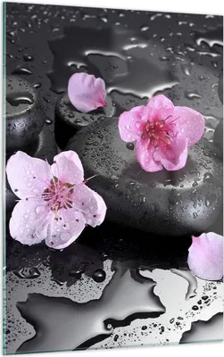 Produktbild von Bilder auf glas - Einteilig - Blumen Steine Tropfen Spa - 50x70cm - Glasbilder - Wandbilder - Bilder - zum Aufhängen bereit - Wanddekoration aus Glas - Glas Bilder - Wandbild auf Glas - GPA50x70-2714
