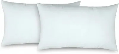 Image de Coussins pour canapé, 40x60 cm, lot de 2, 100% microfibre de polyester, lavables, pour canapé