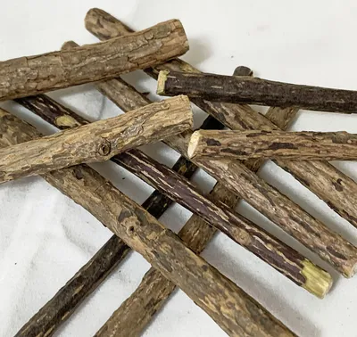 Produktbild von Elmato 10136 Katzenminze Sticks Zusatzfutter Matatabi Pflanze, 5 Stück á 12cm