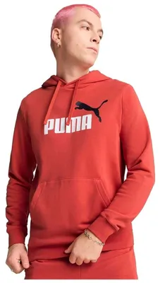 Zdjęcie produktu dla Bluza z kapturem Puma ESS 2 COLOR No. 1 Lo dla Męskie
