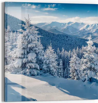 Produktbild von DEQORI Magnettafel Glas 30x30 cm 'Karpatenwinter' beschreibbar Whiteboard Pinnwand Küche