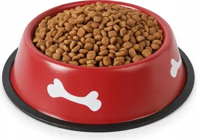 Obrázek produktu pro Petstory Protiskluzová miska pro psy 1,2 l kovová