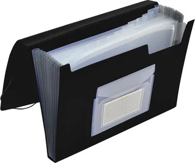 Image de Q-Connect® KF01276 Fardes à compartiments - 13 poches, 250 feuilles, PP, noir