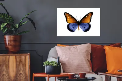 Produktbild von MuchoWow® - Wierderverwendbar - Selbstklebend