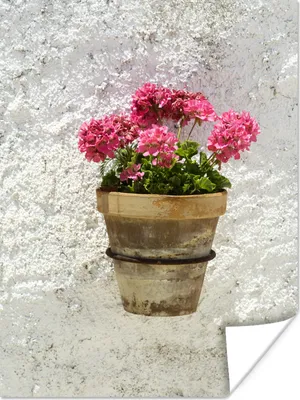 Produktbild von MuchoWow® Poster Ein Topf mit Geranienblüten in Bocairent 90x120 cm - Wohnzimmer