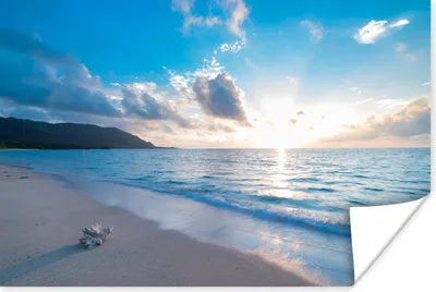 Produktbild von MuchoWow® Poster Strand - Meer - Muschel 120x80 cm - Bilder