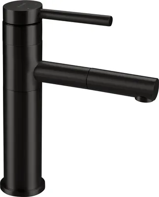 Immagine prodotto di Rubinetto per lavabo, con bocca estraibile - nero