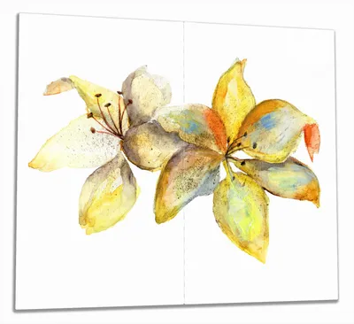 Produktbild von Wallario Herdabdeckplatte aus Glas, Größe 60 x 52 cm 2-teilig, Motiv Aquarell von gelben Lilien