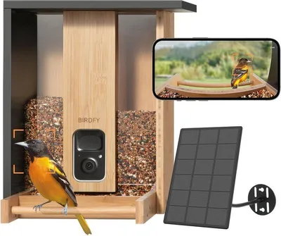 Image de Birdfy Feeder Bamboo AI by Subscription w/ Solar, 1080P, AI,IP66