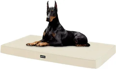 Immagine prodotto di Cuccia ortopedica per cani, 120 cm, spessore 10 cm, per cani di taglia grande, rivestimento sfoderabile, impermeabile, colore beige