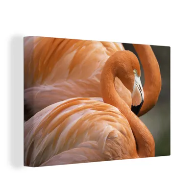 Obrázek produktu pro OneMillionCanvasses® Malba na plátně Nástěnná malba na plátně - Plameňák zblízka - 150x100cm