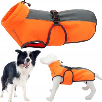 Produktbild von Großer warmer Hund SOFTSHELL wasserdichter reflektierender Wintermantel L 55cm