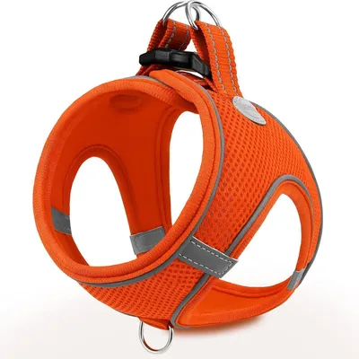 Productafbeelding van Hondenharnas, reflecterend, zacht gevoerd, ademend Air-Mesh, oranje. Borstomvang: 47-55 cm
