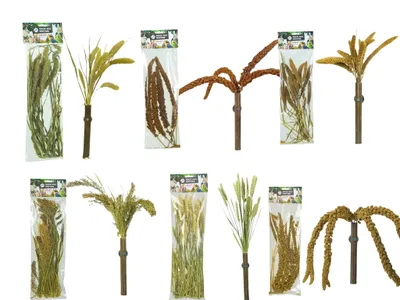 Obrázek produktu pro Přírodní křupavé kytice pro papoušky - 6 kusů za cenu 5 kusů