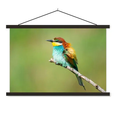 Produktbild von MuchoWow® Textilposter Vogel - Tiere - Bienenfresser 150x100 cm mit schwarzem Rahmen - Schlafzimmer