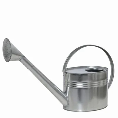 Produktbild von SIENA GARDEN Zinkgießkanne mit Brause, 7 l